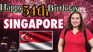 SINGAPORE NATIONAL DAY 2019 | NATIONAL DAY PARADE AND FIREWORKS DISPLAY | I LOVE SINGAPORE 🇸🇬