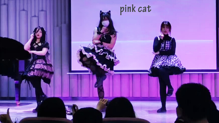 เต้นหญิงเต้นเพลง PiNK CAT - GARNiDELiA