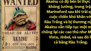 Nếu Hải Quân Bị Truy Nã Sẽ Có Tiền Thưởng Bao Nhiêu p8