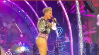 A fan threw her own mother's ashes at Pink's mom, who was singing!
