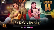 Parwarish Episode 14 Pakistan drama