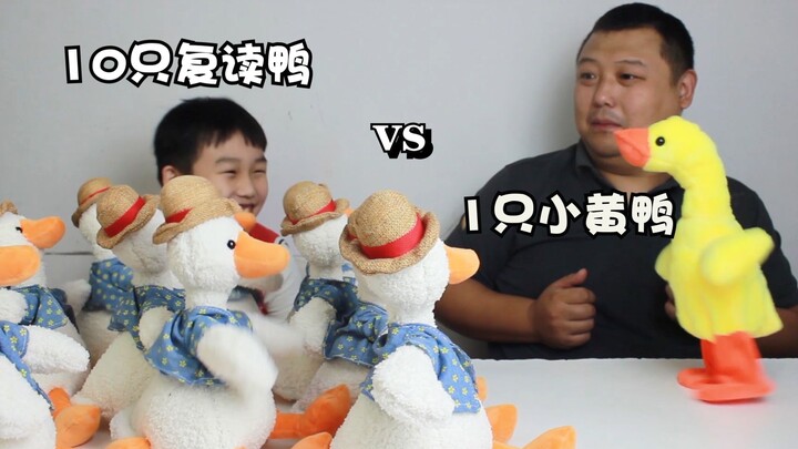 Vịt cổ cao đại chiến 10 con vịt nhại, hậu quả thật nghiêm trọng!