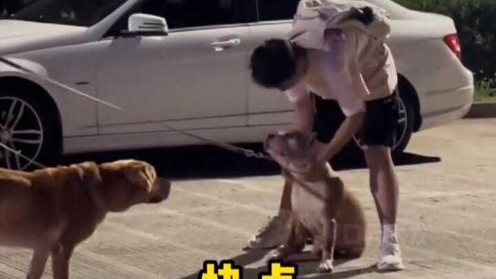 That cute, cuddly puppy—just pet it already! #CutePets #Dogs #Cuddling