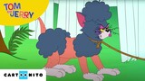 Tom și Jerry | O chestiune de familie | Cartoonito