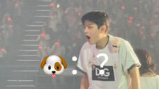 【Straykids】Saat kamu punya kucing dan anjing di rumah