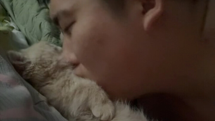 正确的吸猫方法！！！！