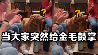 Apa yang akan terjadi jika semua orang tiba-tiba bertepuk tangan untuk anjing?