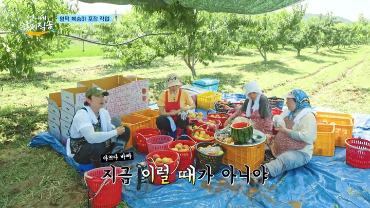 freshofftheseaS1(IND) ep.4