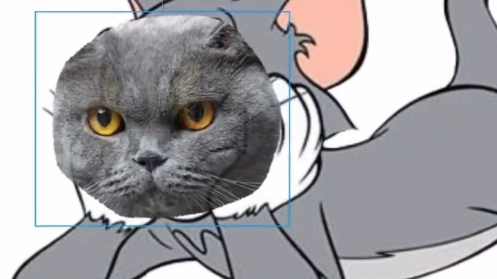 Tom's real appearance