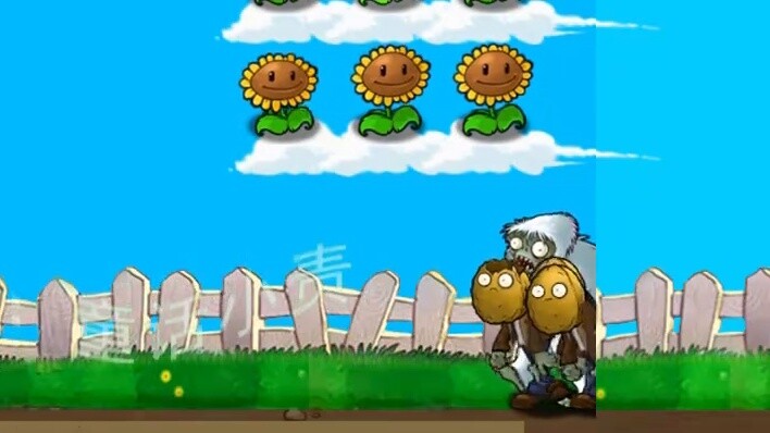 ถั่วงอก