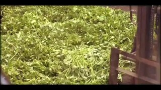 Malungkot kaba? Panoorin mo ito.