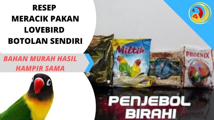 Ini Cara Termudah Membuat Pakan Lovebird Konslet Racikan