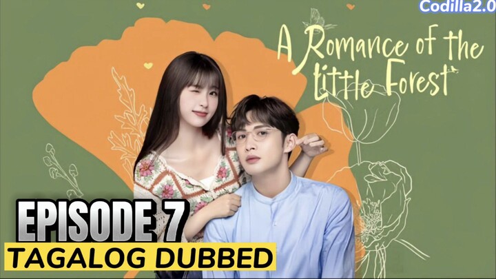 ᗩ ᖇOᗰᗩᑎᑕE Oᖴ TᕼE Little Forest 2022 Episode 7 Tagalog Dubbed HD
