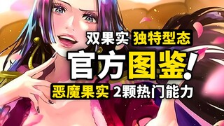 最强控制果实居然有“两颗”！动物系可以修炼改变型态？甜甜果实与猫猫果实，官方恶魔果实图鉴更新！