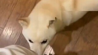 Tôi vừa mắc phải lỗi lầm mà mọi người đều mắc phải.