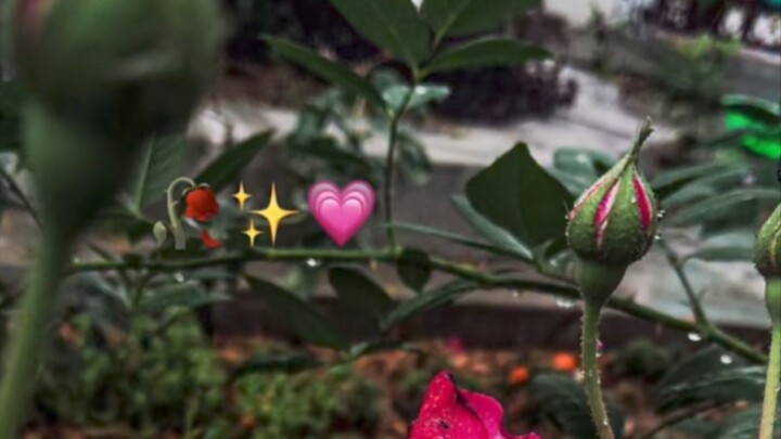 跟着最爱的节奏摇摆 🎧✨