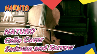 NATURO | Sadness and Sorrow (Cello Cover)