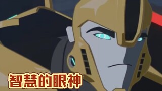 【tfrid】大黄蜂也组织不好一次野餐①