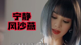 宁静版‘风沙燕’cover:代斯