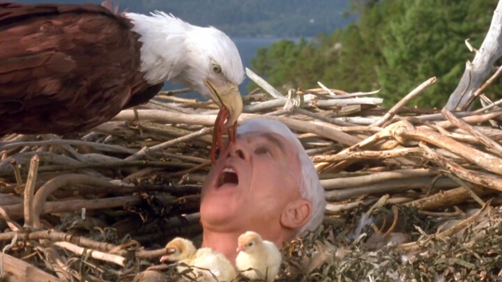 “นักสืบหัวขาว” ร่วมแสดงในภาพยนตร์คอมเมดี้ เต็มไปด้วยความกวน+ไร้สาระตลอดทั้งเรื่อง!