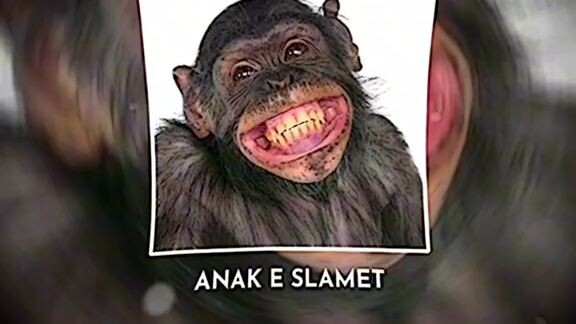 sopo seng bapak ne slamet