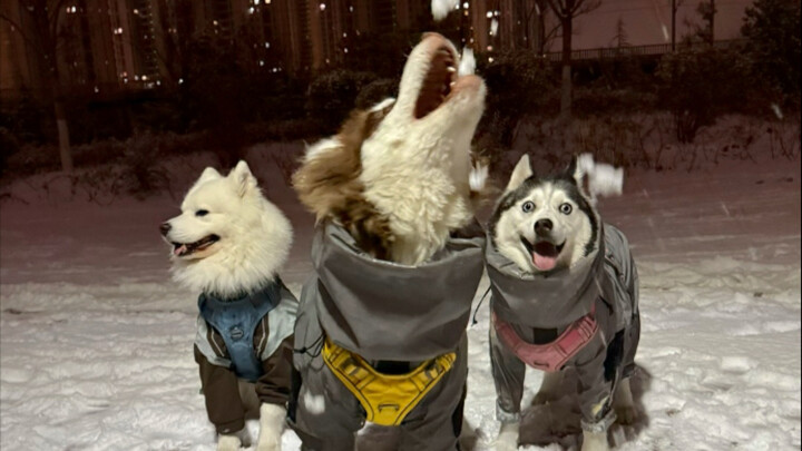 Do these three silly kids think they've returned to Siberia?