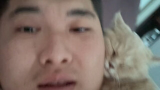 حول مسألة إنقاذي للقطط الضالة