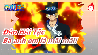 [Đảo Hải Tặc] Ba anh em là mãi mãi!  Ace, Sabo và Luffy_1