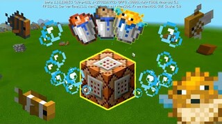 Fun Random Things You can do in Minecraft using Command Block Tricks