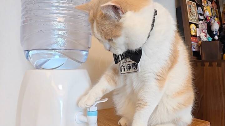 Phần nhìn từ góc nhìn thứ nhất mà các bạn muốn đây rồi!