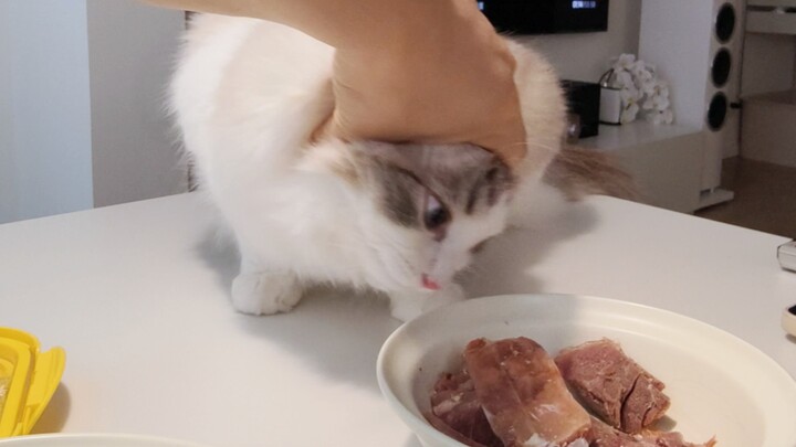 Tôi ăn thịt bò hầm thì có gì sai?