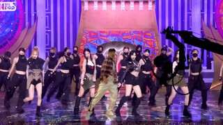 blackpink巡回是不是应该带上我