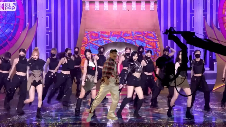 blackpink巡回是不是应该带上我