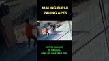 MALING ELPIJI PALING APES