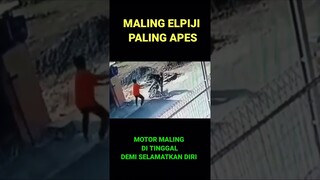 MALING ELPIJI PALING APES