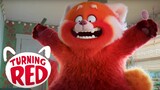 Pixar's Turning Red Teaser Trailer (2022)