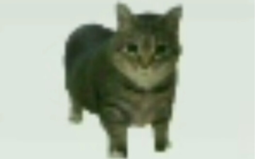 Ôiiiiiiiiiiiii