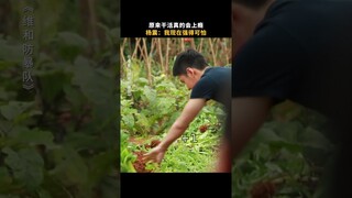 Wang Yibo - the Joy of Harvest
