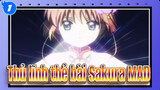 [Thủ lĩnh thẻ bài Sakura/Hoành tráng] Ôn lại Anime Nóng bỏng:Thủ lĩnh thẻ bài Sakura_1