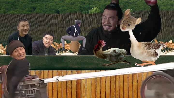 ⚡曹 氏 养 鸡 场⚡