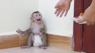 OMG!! Little Boy Maki very angry with mom until cry loudly because Scared​Mom not give fruit for Him