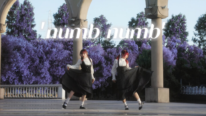 [Koreografi orisinal] 'numb numb'➹ Perasaan yang tak bisa disembunyikan dan perbedaan warna denganmu