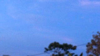 View on my house