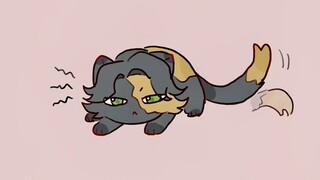 This is Silly Cat (3)