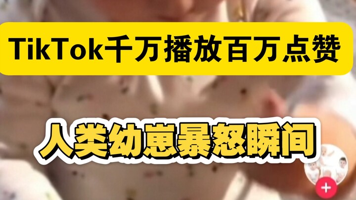 Saat bayi manusia di TikTok mengamuk
