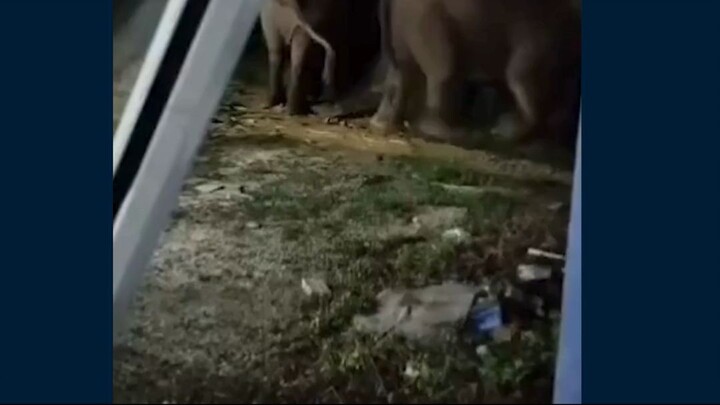 "Jumlah ini kira-kira memberi makan seluruh penduduk Afrika Selatan, setiap hari. Atau sama dengan 1