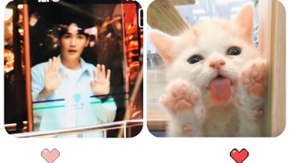 【朱一龙】实锤惹！朱一龙就是大猫猫！（超大声！！w(°o°)w！