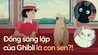 Ý nghĩa của MÈO trong phim STUDIO GHIBLI