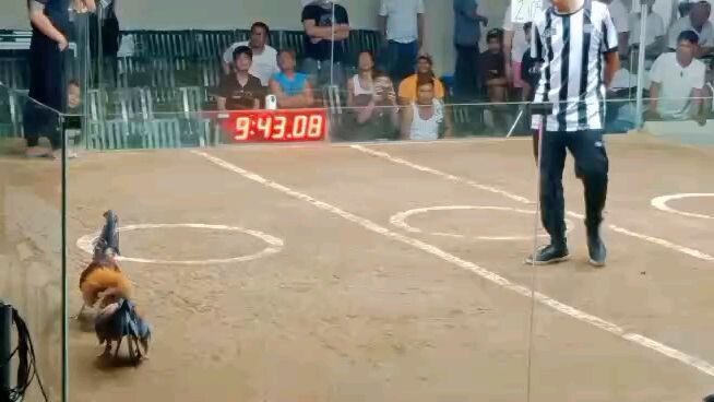 EA Backyard 2nd fight-Win @ Pampanga Coliseum (2hits )