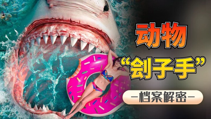 วิธีทรมานสุดพิสดารในสมัยโบราณ: ใช้ช้างเหยียบผู้กระทำผิด หรือแม้แต่หนูเจาะรูก็สามารถทรมานนักโทษได้?